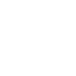 Bulldog Tech